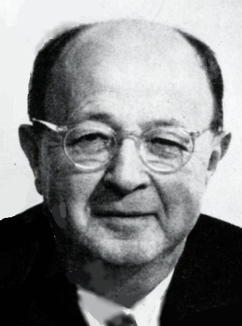 Picture of Jekuthiel Ginsburg